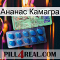 Ананас Камагра new02